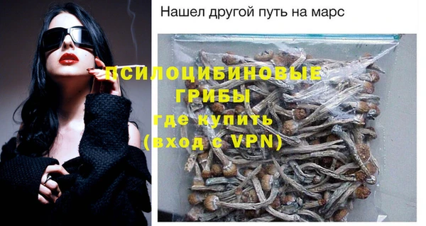 ПСИЛОЦИБИНОВЫЕ ГРИБЫ Медвежьегорск