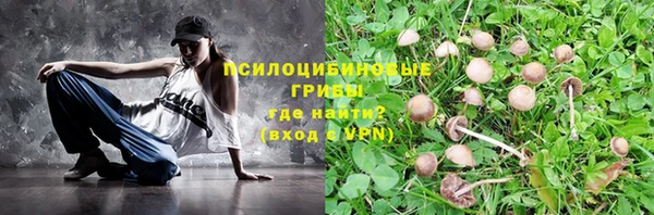 ПСИЛОЦИБИНОВЫЕ ГРИБЫ Медвежьегорск