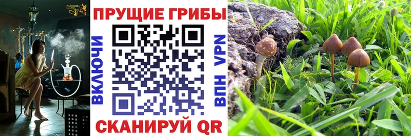 Псилоцибиновые грибы ЛСД  где купить   Невельск 